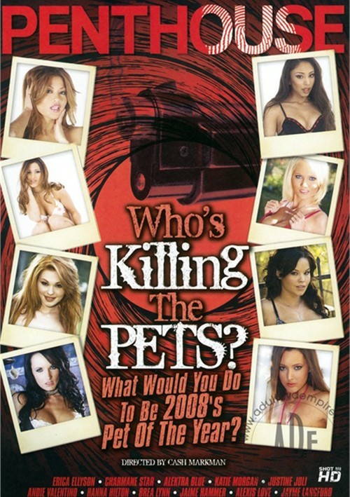 Who’s Killing The Pets?