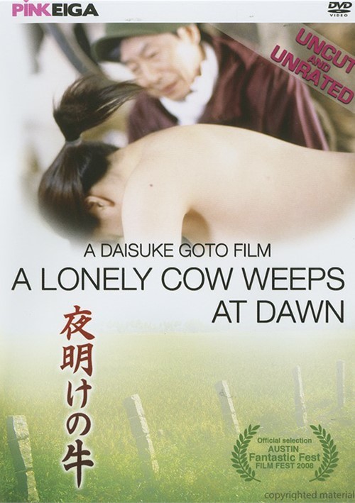 A Lonely Cow Weeps At Dawn