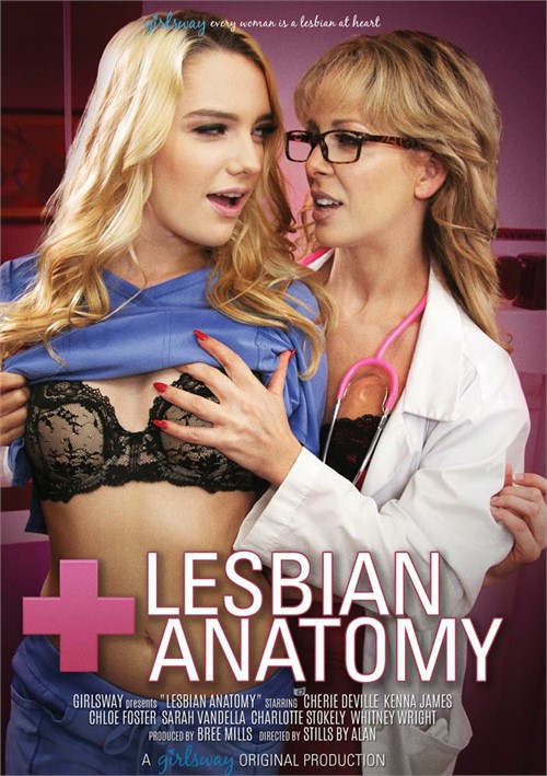 Watch Lesbian Anatomy Porn Online Free