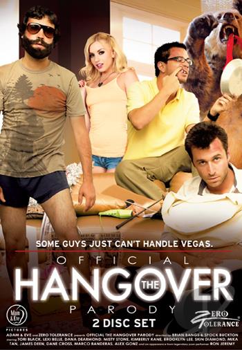 Watch The Official Hangover Parody Porn Online Free