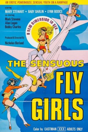 Watch The Sensuous Fly Girls Porn Online Free